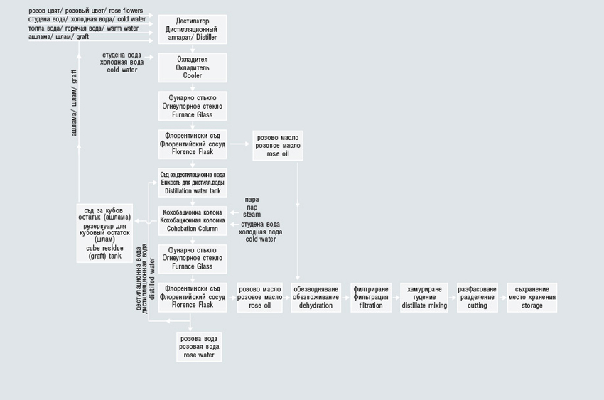 Diagram of the technological process for rose oil production