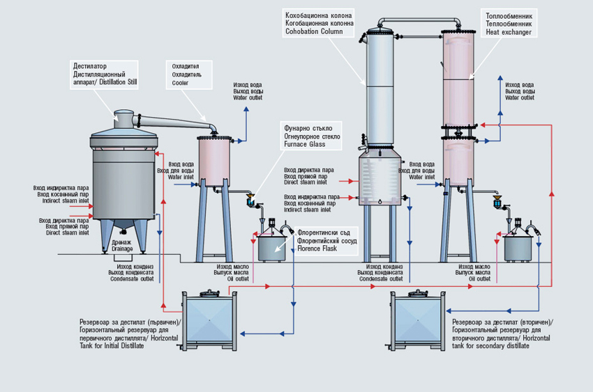 Distillery technological diagram